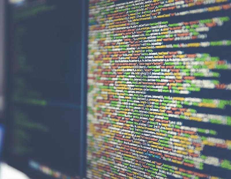 A developer reading a JSON validation response in their editor