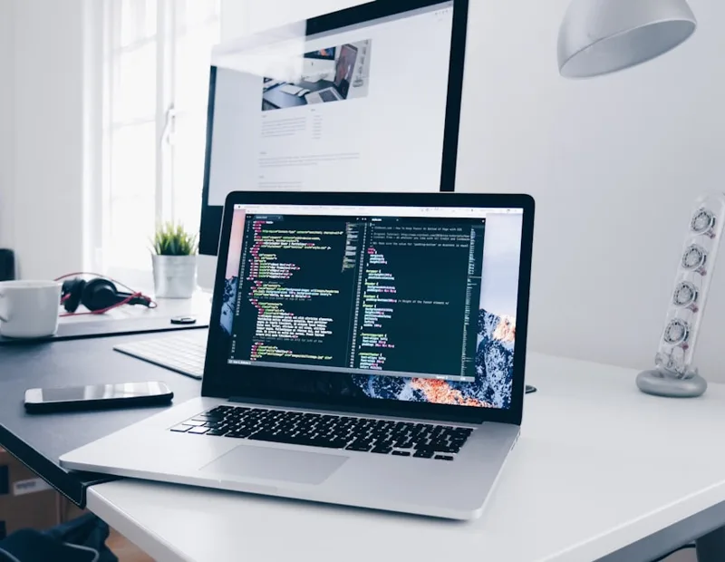 A developer integrating the SpamCipher bulk cleaning API